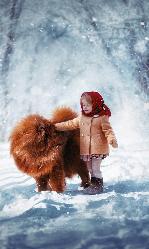 Картинка: Девочка, собака, Тибетский мастиф, дорога, лес, зима, снег