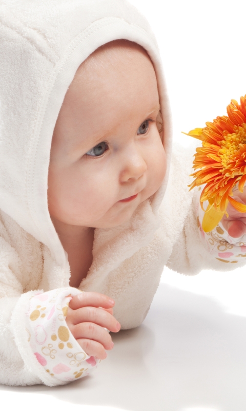 Картинка: Малыш, ребёнок, лицо, взгляд, глаза, цветок, лепестки