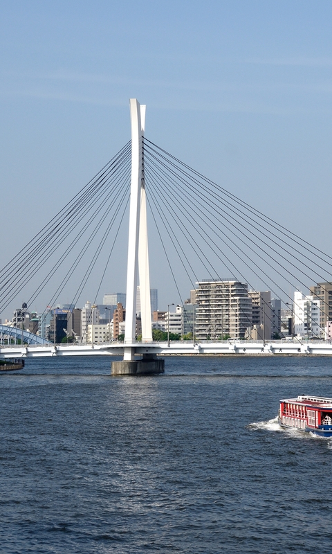 Картинка: Токио, небоскрёбы, река Сумида, теплоход, мост