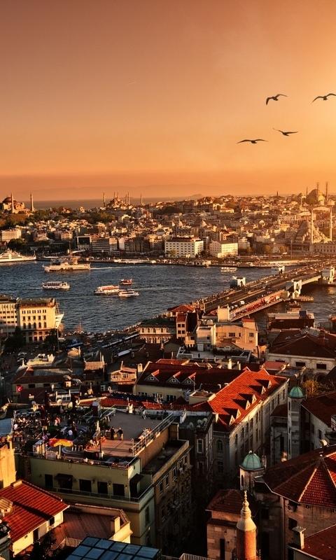 Картинка: Турция, Стамбул, пейзаж, город, река, Галатский мост, вечер, закат, солнце, птицы, стая