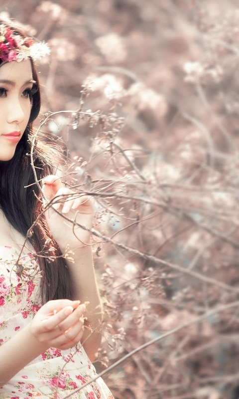 Картинка: Девушка, азиатка, цветы, сухие ветки, позирует, венок, волосы