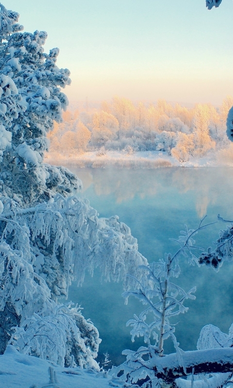 Картинка: зима, снег, деревья