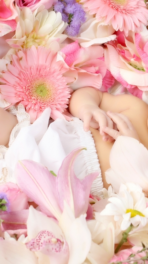 Картинка: Малыш, ребёнок, глаза, взгляд, лежит, цветы, роза, гербера
