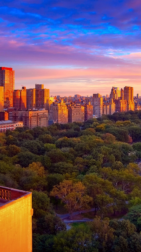Image: Central Park, New York, trees, skyscrapers, buildings, morning, dawn, sky, New York City