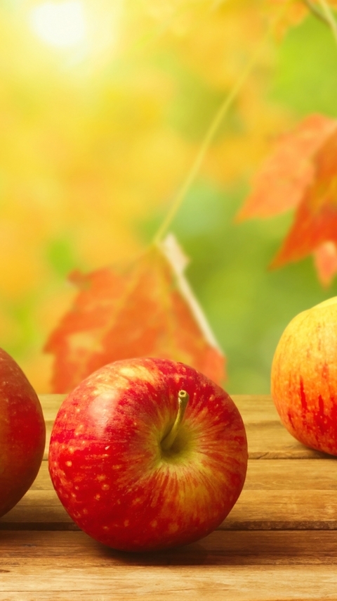 Картинка: Яблоки, красные, лежат, листья