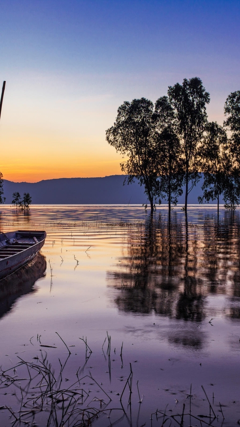 Image: nature, boat, lake, trees, sunset