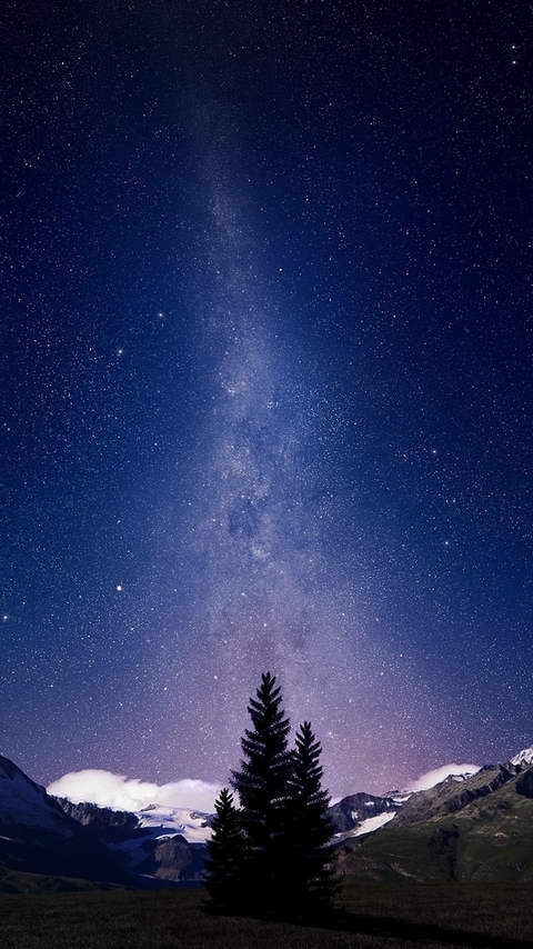 Картинка: горы, деревья, небо, звезды