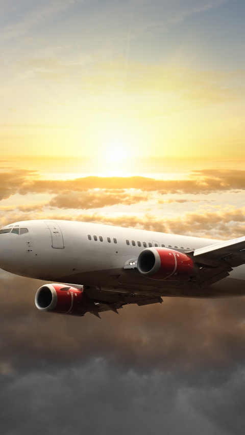Image: Airplane, flying, sky, clouds, horizon, sun