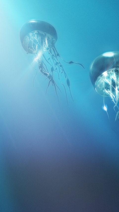 Image: Jellyfish, light, ocean, sea, tentacles, dome
