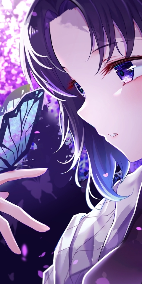 Image: Girl, butterfly, eyes, color, petals