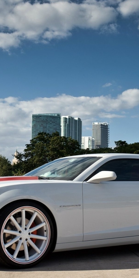 Картинка: Chevrolet Camaro, Шевроле Комаро, белый, колёса, здания, высотки, небо