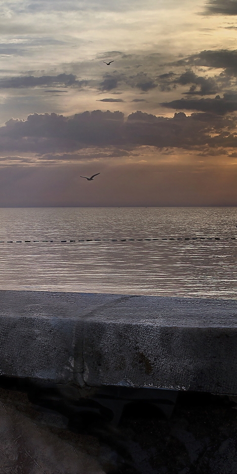 Image: Boy, ship, water, sea, sunset, seagulls, sky, clouds, mood, sadness