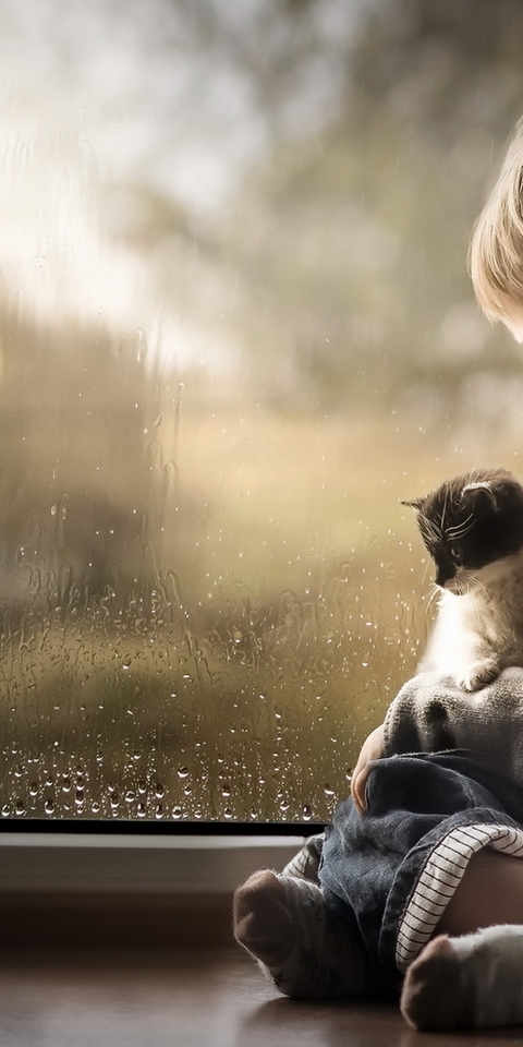 Image: Boy, sitting, kitten, window, drops, rain, sadness