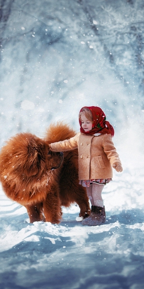 Image: Girl, dog, Tibetan Mastiff, road, forest, winter, snow