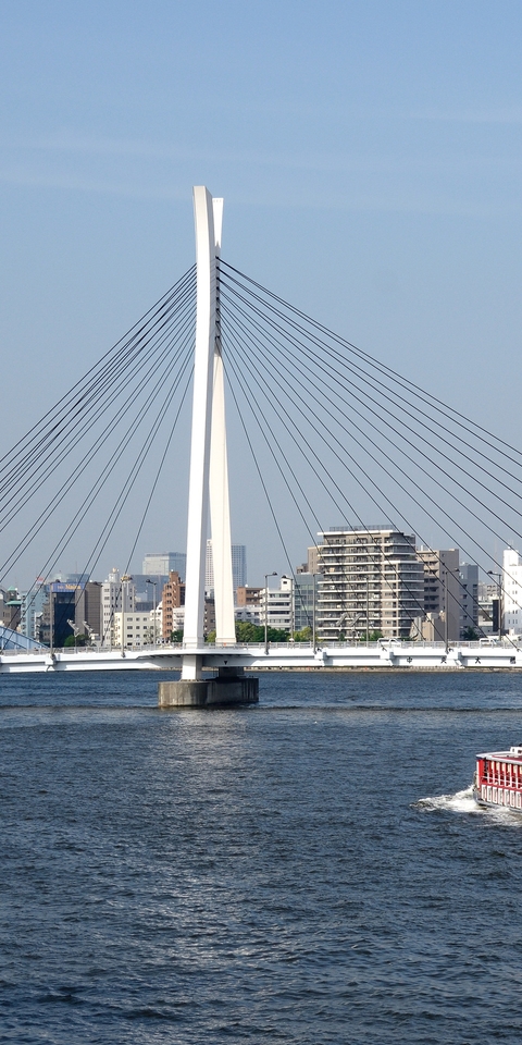 Картинка: Токио, небоскрёбы, река Сумида, теплоход, мост