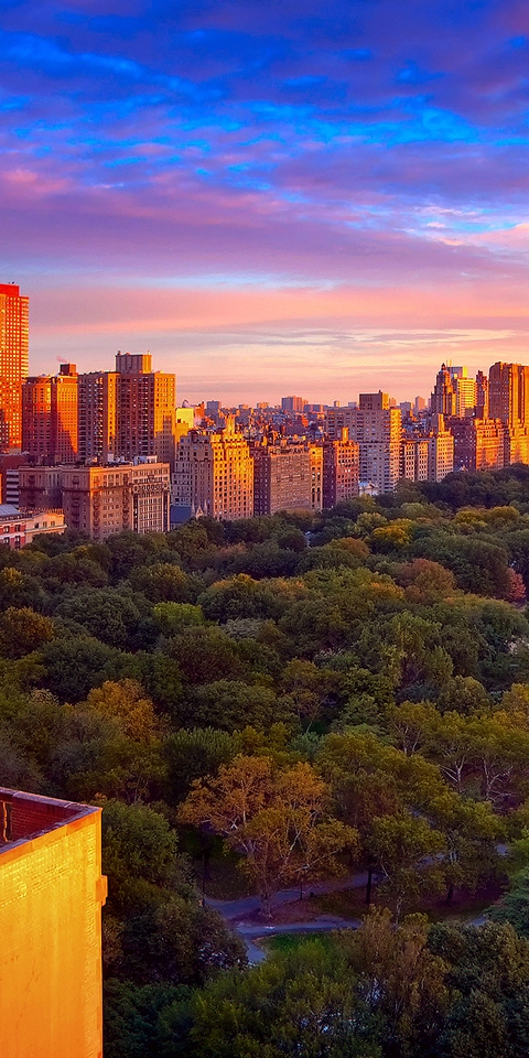 Image: Central Park, New York, trees, skyscrapers, buildings, morning, dawn, sky, New York City
