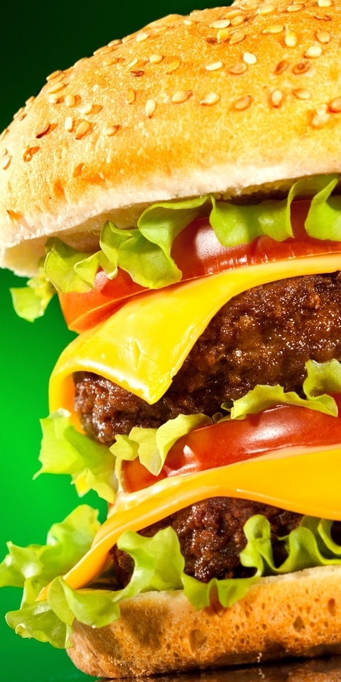 Image: Hamburger, chicken, tomatoes, cheese, onion, greens