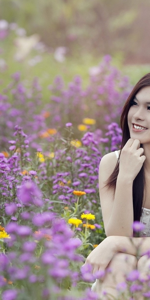 Image: Girl, smiling, sitting, field, flowers, brunette
