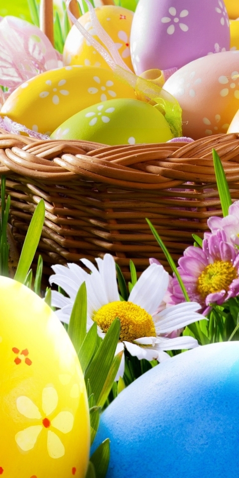 Картинка: Корзинка, Пасха, яйца, цветы, трава, ленточки