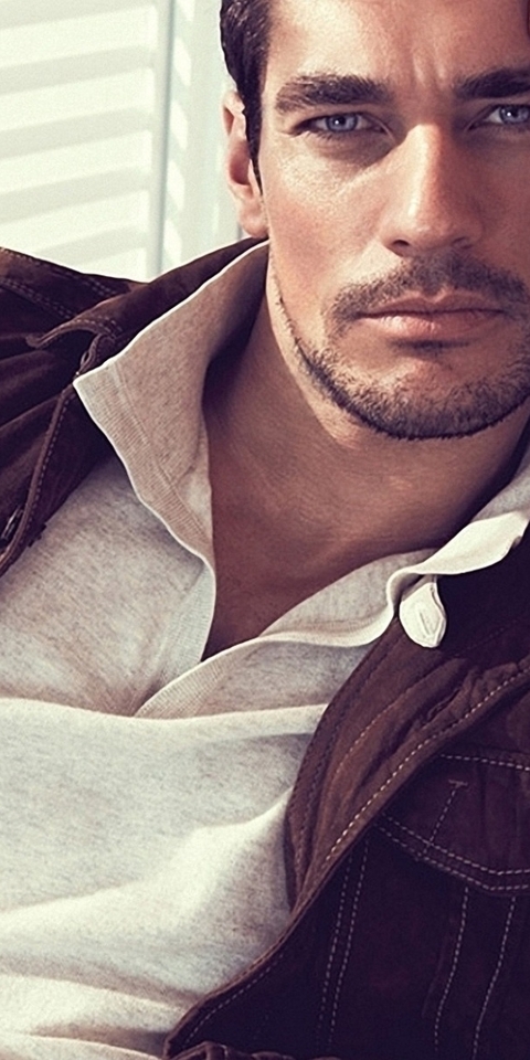 Image: Male, model, brown hair, David Gandy, face, look, eyes, bristles