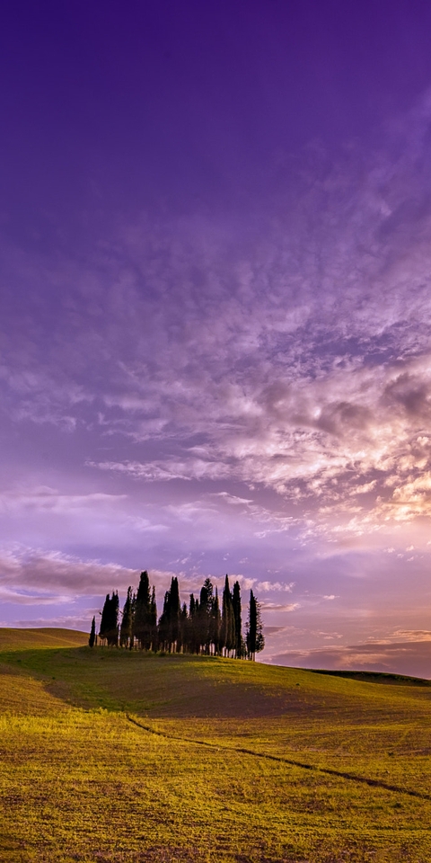 Image: Tuscany, Italy, field, sky, clouds, hills, trees, sunset, landscape