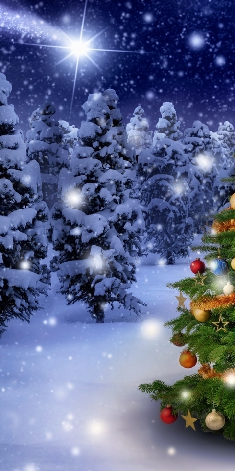 Image: nature, new year, snow, tree, holiday, forest