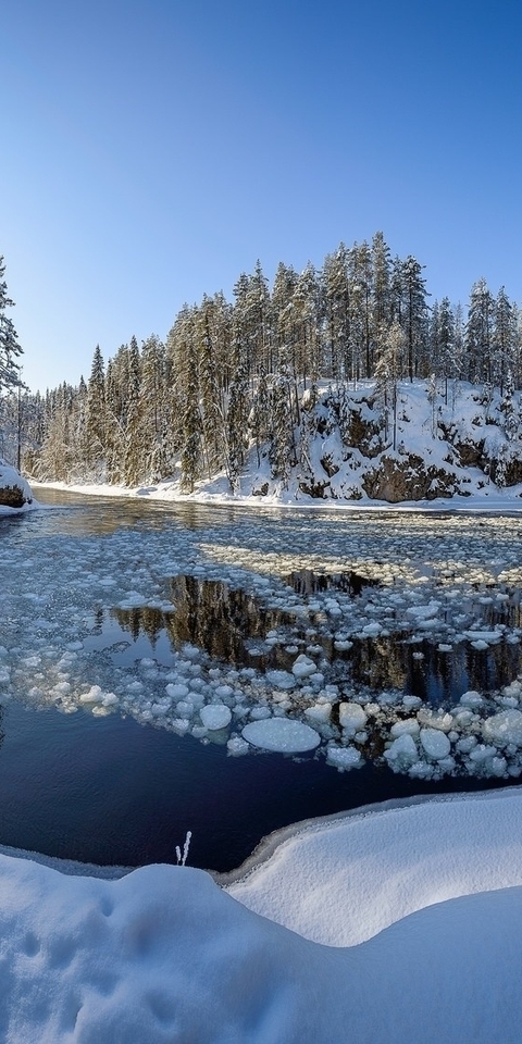 Image: nature, winter, river, forest, snow, taiga