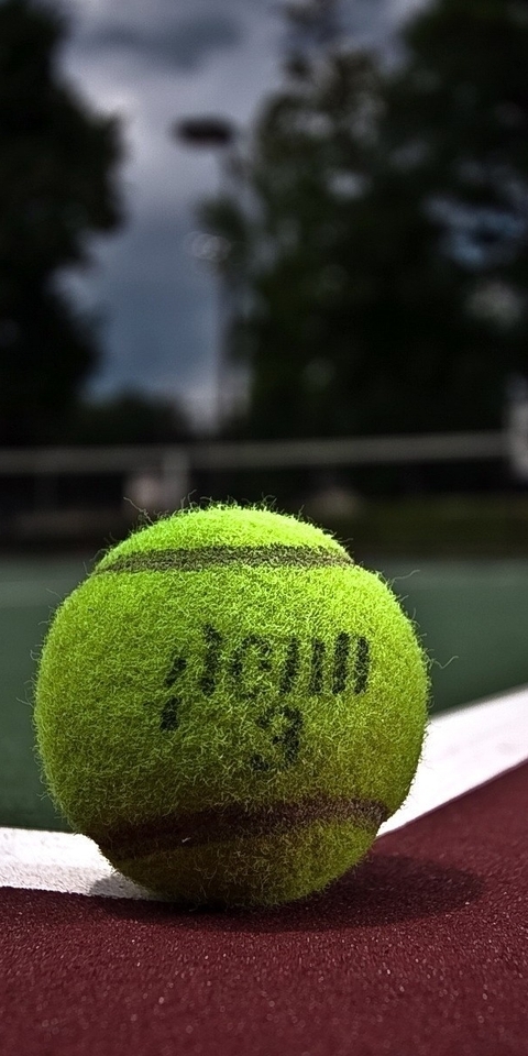 Картинка: Мяч, теннис, корт, разметка, площадка