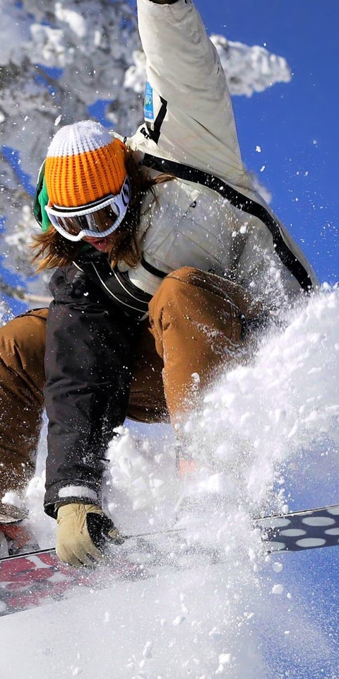Картинка: Сноуборд, сноубордист, в прыжке, снег, день, деревья, зима