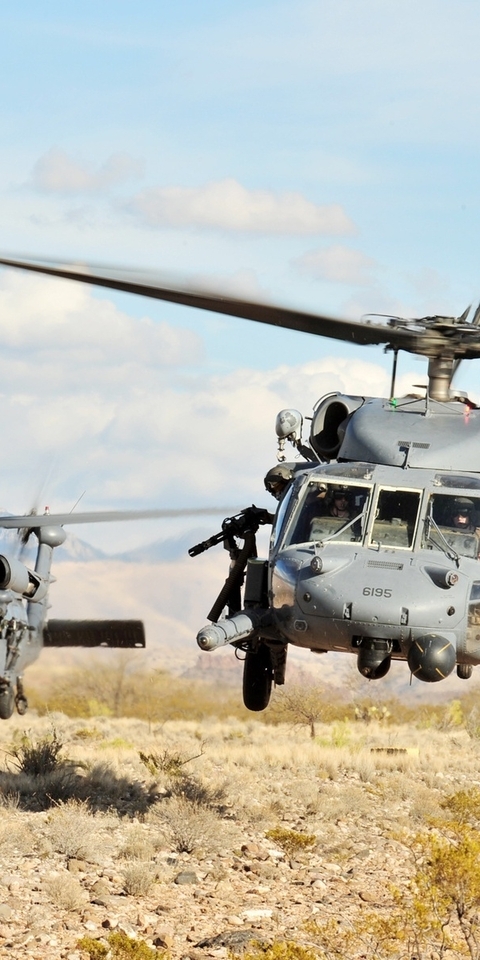 Image: Military helicopter, Sikorsky UH-60 Black Hawk, Black hawk, blades, flying, shadow, branches