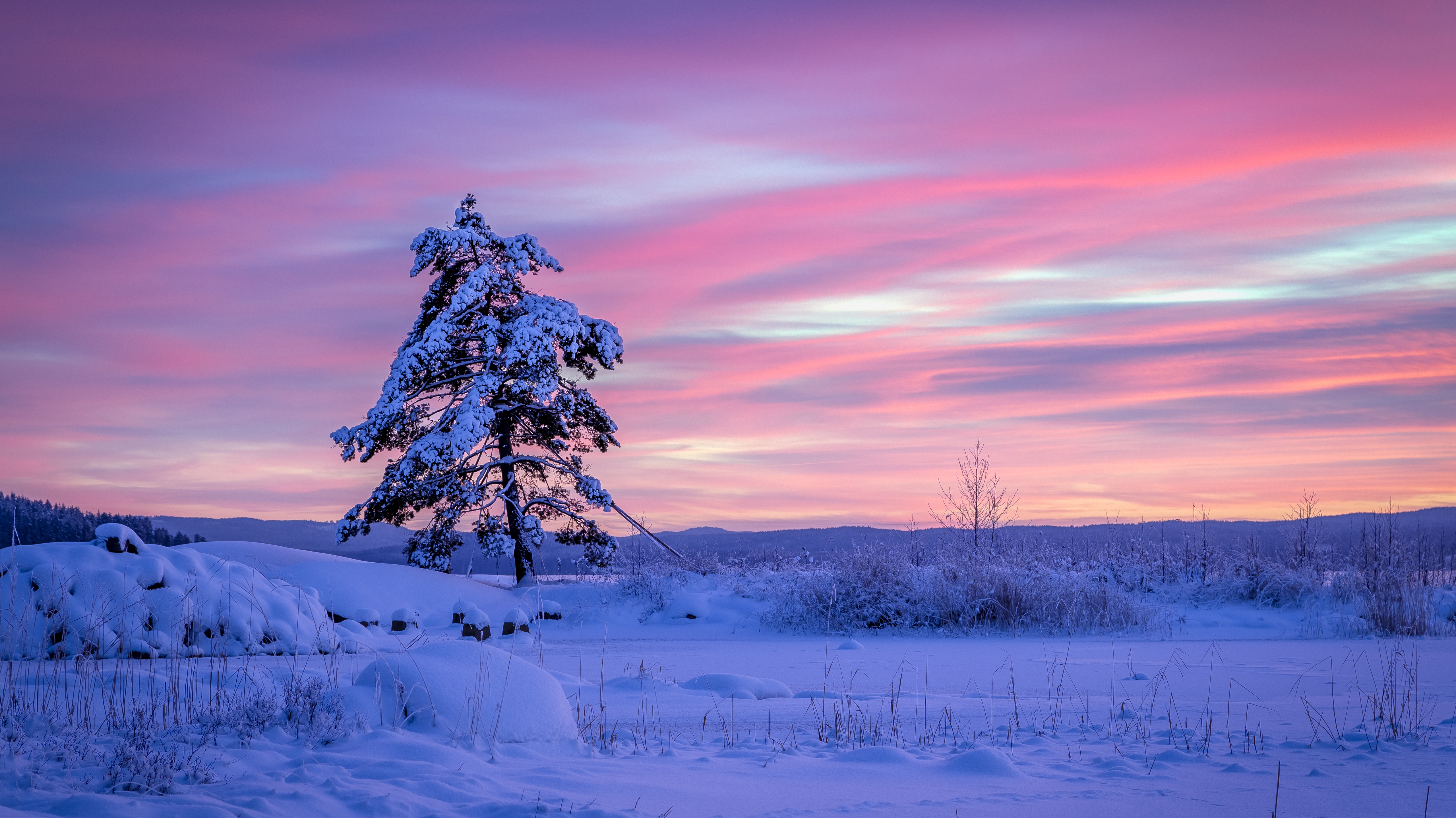Image: Winter, snow, tree, sky