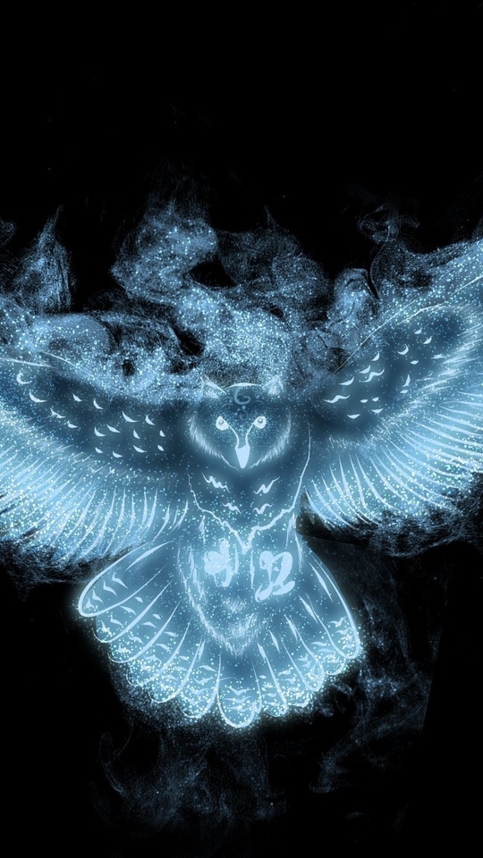 Image: Owl, wings, black background, particles