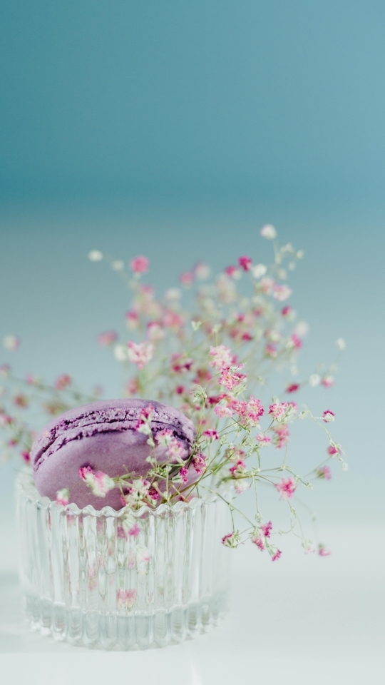 Картинка: Макарон, печенье, пирожное, сиреневое, стакан, цветочки, фотограф, Larissa Farber