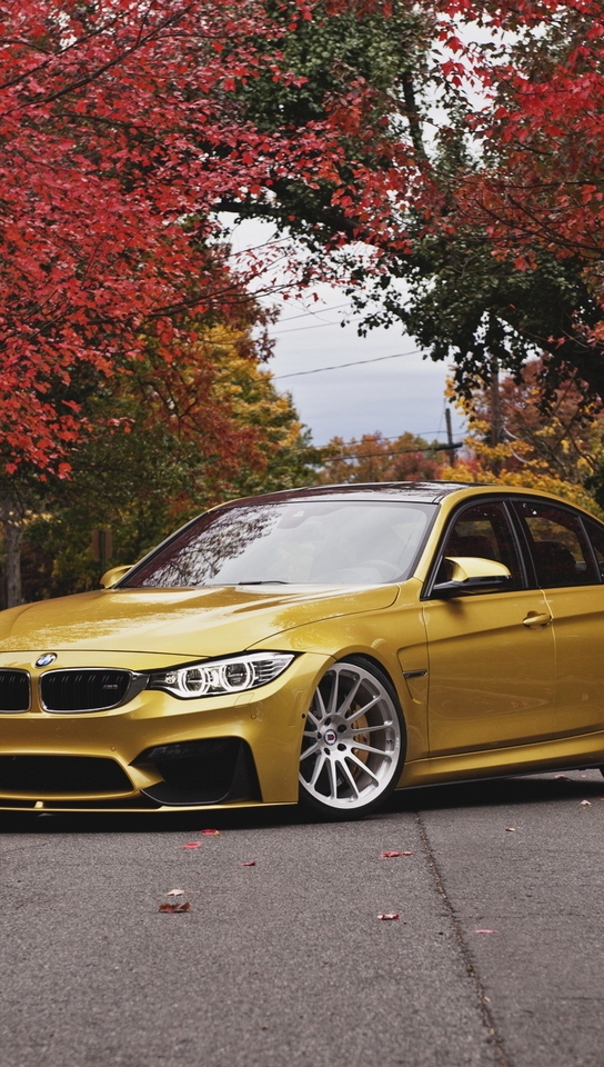 Картинка: BMW, золотистый, M3, F80, Gold, дорога, деревья, осень