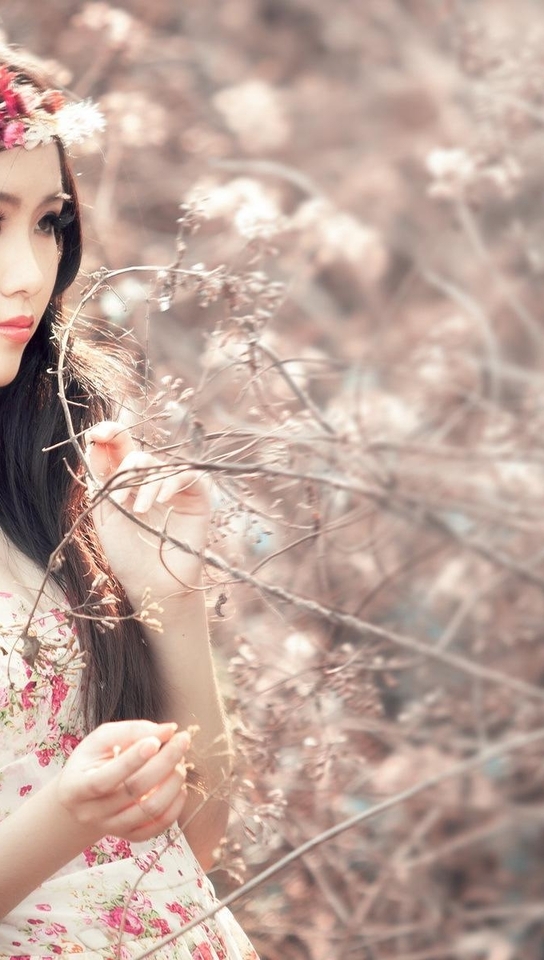Картинка: Девушка, азиатка, цветы, сухие ветки, позирует, венок, волосы