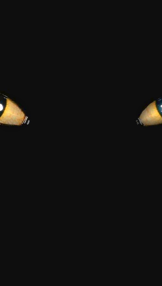 Картинка: Кошка, глаза, зрачки, чёрный фон