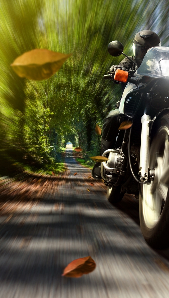 Image: Motorcycle, bike, racer, speed, foliage, trees, trail, headlight, light, blur