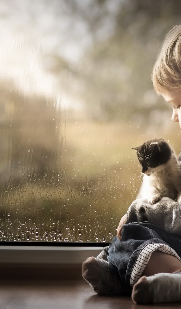 Image: Boy, sitting, kitten, window, drops, rain, sadness