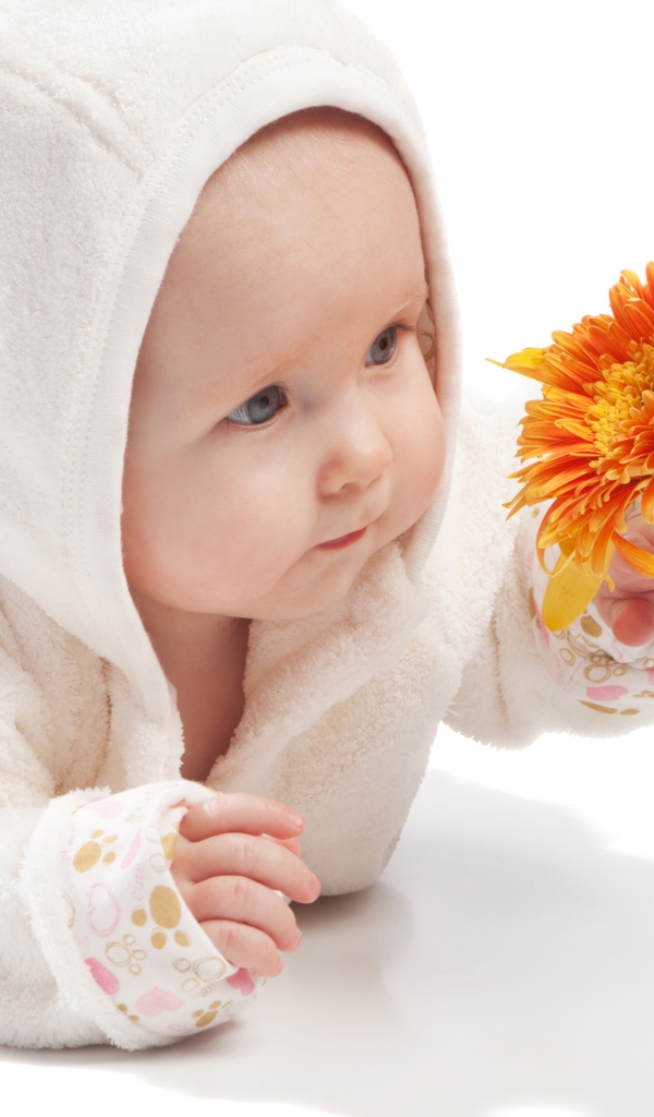 Картинка: Малыш, ребёнок, лицо, взгляд, глаза, цветок, лепестки