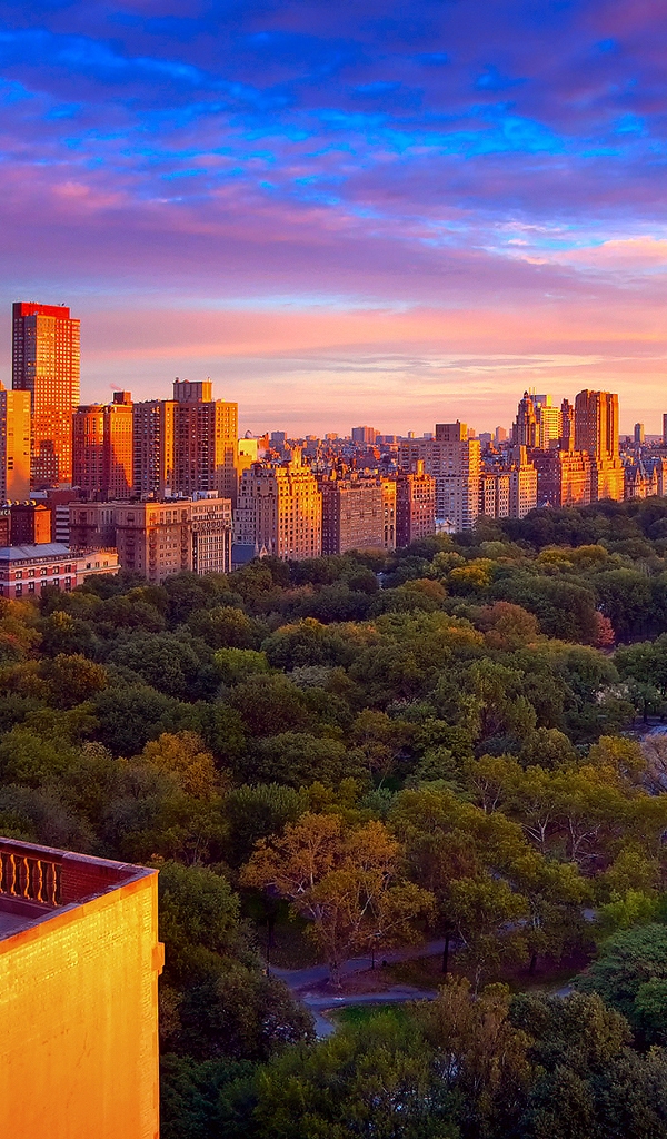 Картинка: Центральный парк, Нью-Йорк, деревья, высотки, здания, утро, рассвет, небо, New York City