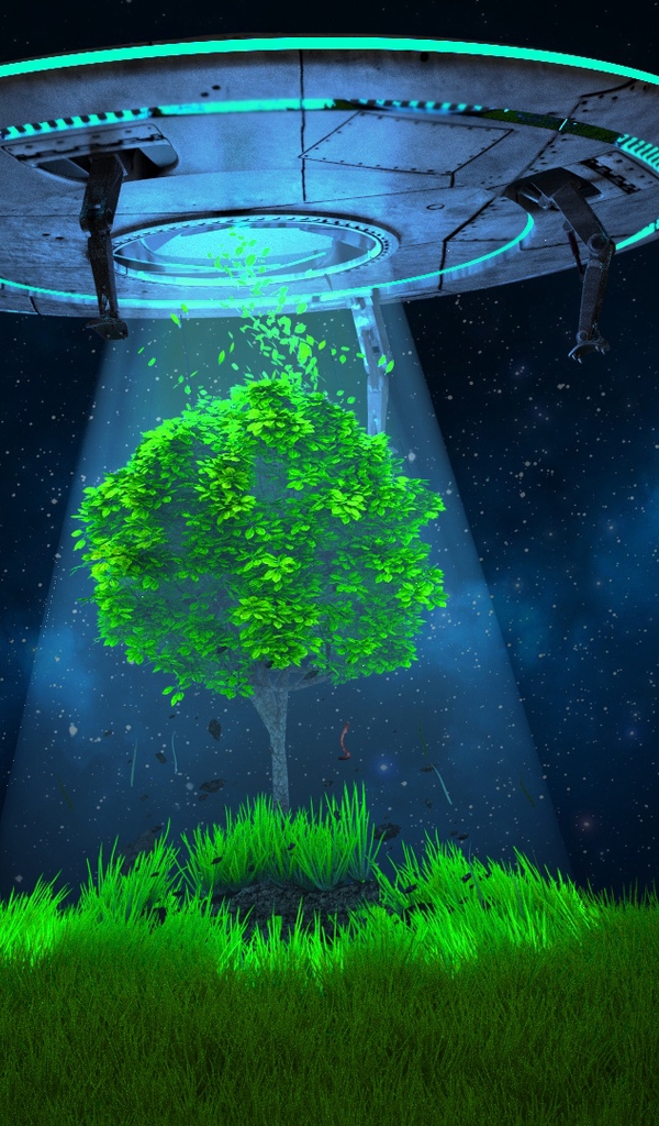 Картинка: НЛО, летающая тарелка, дерево, свет, трава, небо, ночь, звёзды
