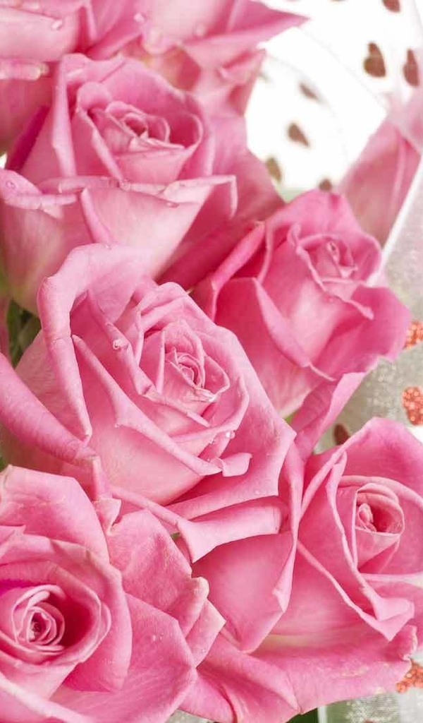 Картинка: Розы, букет, розовый, лепестки, лента, сердечки, романтика, белый фон
