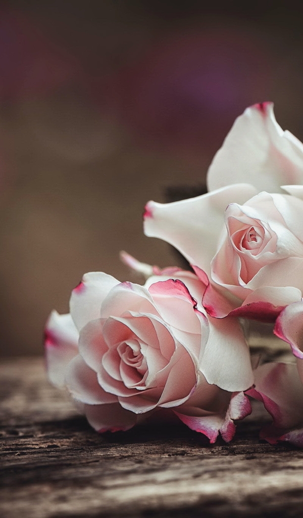 Image: Roses, bouquet, three, flowers, pink