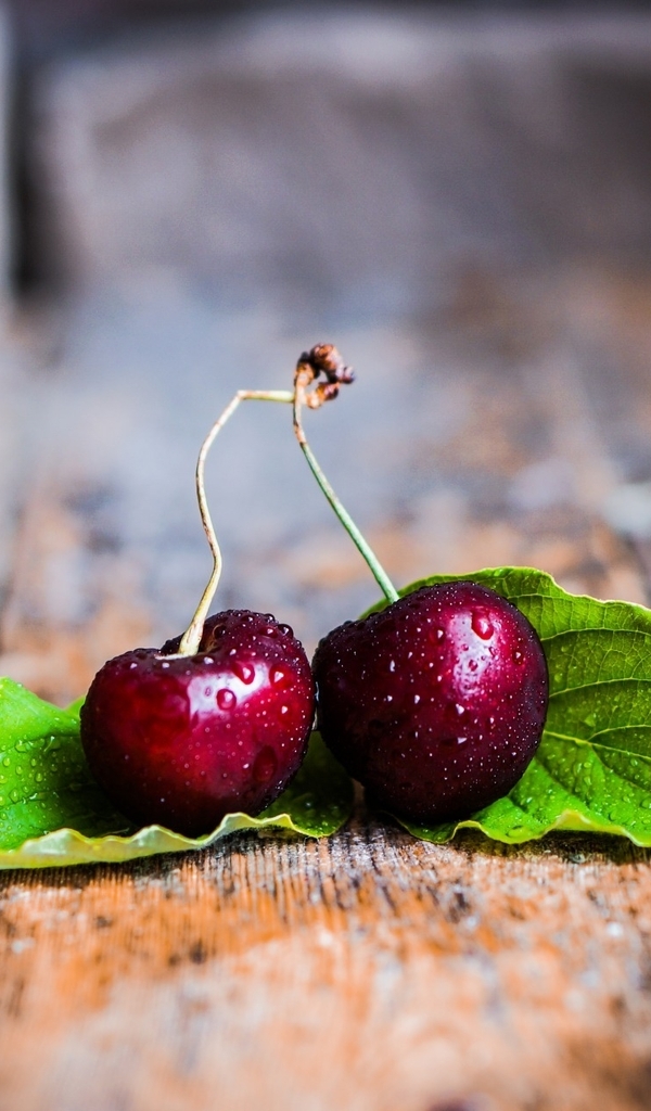 Image: Cherry, two, berries, leaves, planks, drops