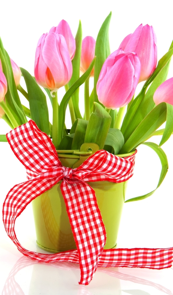 Картинка: Тюльпаны, цветы, букет, лента, ведро, праздник, весна, 8 марта, белый фон