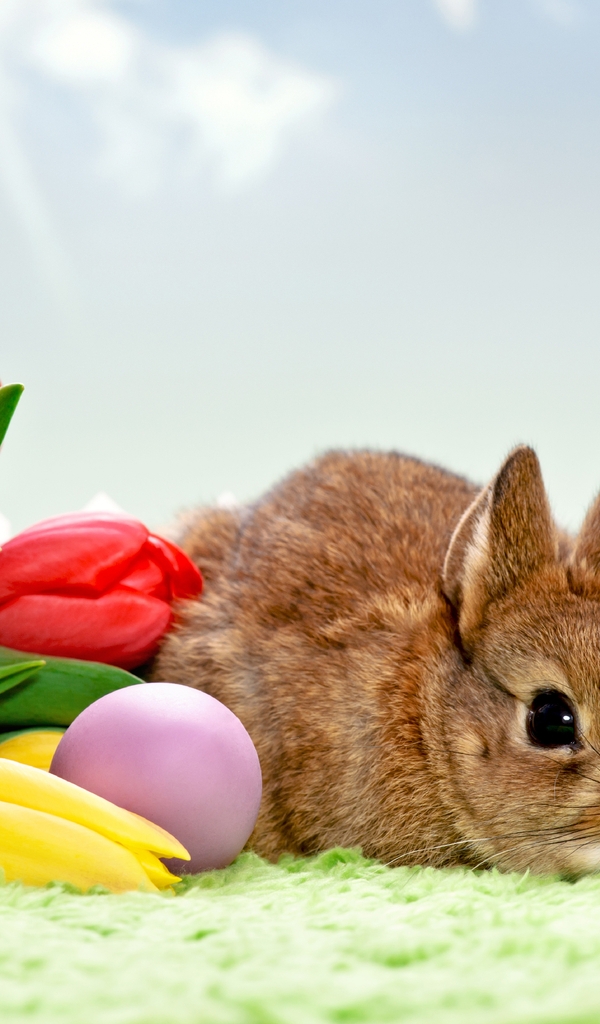 Картинка: Кролик, букет, тюльпаны, цветы, яйца, Пасха