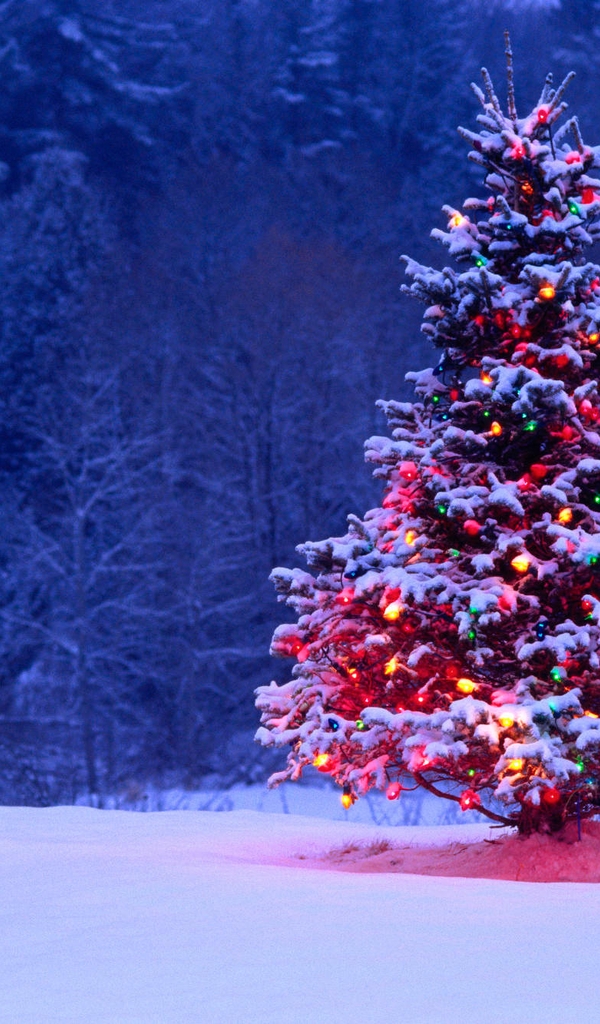 Картинка: Ёлочка, иголки, деревья, снег, гирлянда