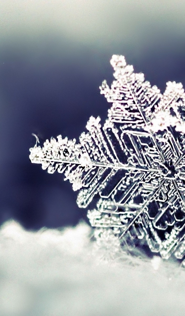 Картинка: Снежинка, зима, форма, лёд, снег