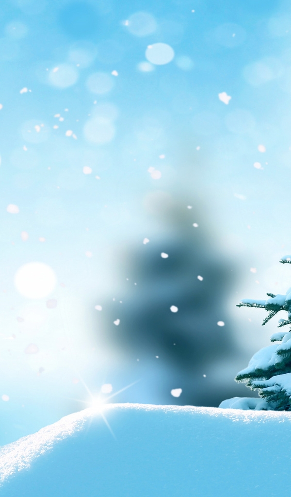 Картинка: Зима, снег, лес, ёлка, боке