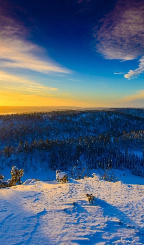 Image: nature, winter, snow, forest, sky, taiga